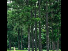 -人民公园(罗湖区)