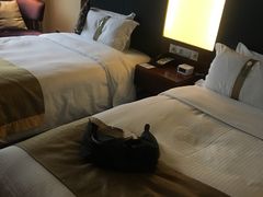 -上海浦东假日酒店