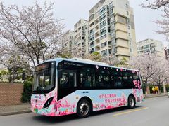 -高东镇樱花园