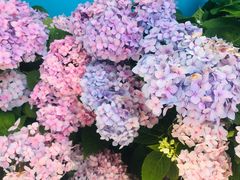 -贵阳市花溪国家城市湿地公园