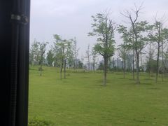 -洋湖国家湿地公园