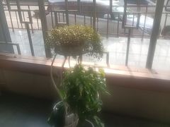 -面辣子·陕西家乡菜(长安店)
