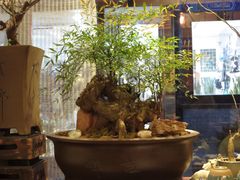 iphone_upload_pic-汤厨(五道营店)