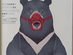 -俄罗斯国家大马戏团