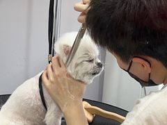 -佐罗家宠物馆·猫文化馆(紫霞路店)