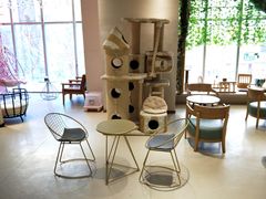 大堂-藏猫猫咖啡主题馆(中央大道店)