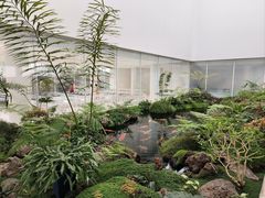 -罗红摄影艺术馆