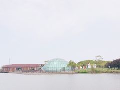 -上海都市菜园
