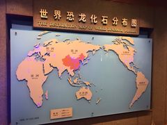 景点-自贡恐龙博物馆