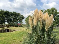 -田园东方蜜桃村的田野营地