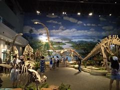 -自贡恐龙博物馆