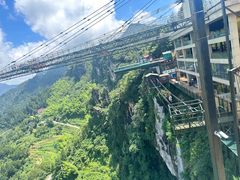 -梦幻奥陶纪景区
