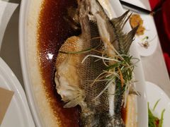 -普天和酒楼·新津菜·烤鸭(天津之眼店)