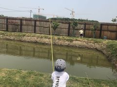 -南汇新场正宗水蜜桃采摘