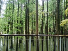 -青山湖景区