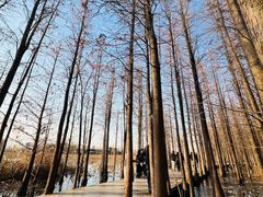 -云龙湖旅游景区