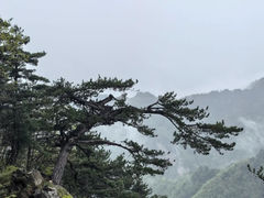 -老界岭旅游度假区
