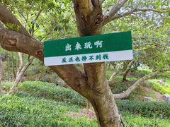 -南北湖风景区
