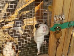 -HERRE·FARM 赫尔露营农场·团建聚会包场