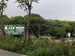 -上海长兴岛郊野公园