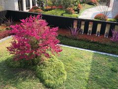 -上海崇明金茂凯悦酒店