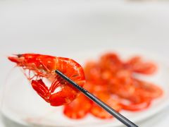 -侨美·唐荔园·40年地道粤菜