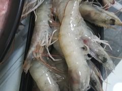 -丽江庭院之丽江往事(安定门店)