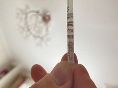 -老炉家木炭烤肉(长江国际店)