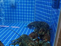 -贡宴盐帮菜自贡驻京联络处餐厅