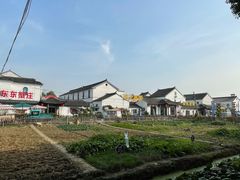 -莲花岛景区