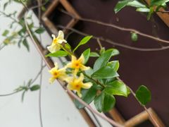 -昆承湖酒家·本帮农家菜