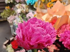 -豆豆花艺(新光天地店)