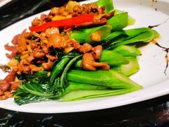 菜心炒鸽杂-大鸽饭(北京路店)