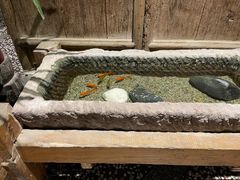 -关中道陕味艺术餐厅(西岳庙店)