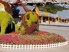 -大连森林动物园