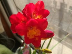 -喜利来蛋糕(景子街店)