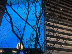 -桂满陇·海市蜃楼·黑金(国金店)