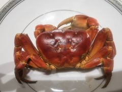 -新光酒家·河豚·海鲜·蟹料理(浦东店)