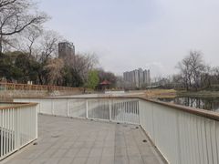 -渭滨公园
