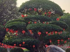 -南宁南湖公园