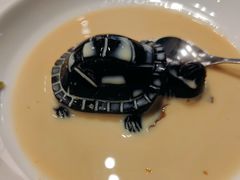 椰汁龟苓膏-南拳十三姨·潮汕砂锅粥·粤菜(西单大悦城店)