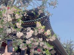 -晋祠博物馆