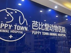 -芭比堂动物医院·24小时·眼科中心(深圳中心)