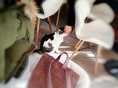 -小时光咖啡馆(北锣鼓巷店)