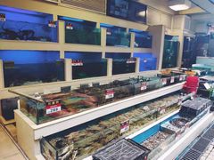 水产区-宜宾海鲜酒家·三十年老字号