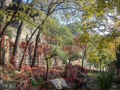 -云峰山自然风景区