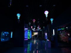 -石家庄极地海洋世界
