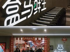 门面-盒马鲜生(财富中心店)