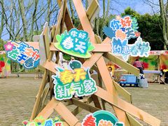 -上海共青森林公园