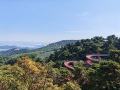 -大芦花风景区